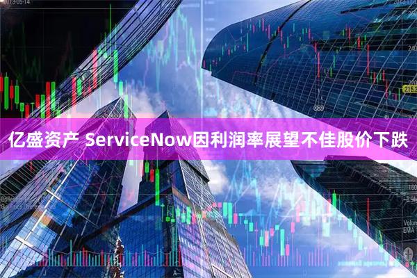 亿盛资产 ServiceNow因利润率展望不佳股价下跌