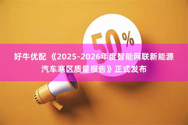 好牛优配 《2025-2026年度智能网联新能源汽车寒区质量报告》正式发布