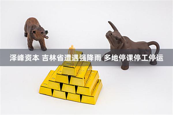 泽峰资本 吉林省遭遇强降雨 多地停课停工停运