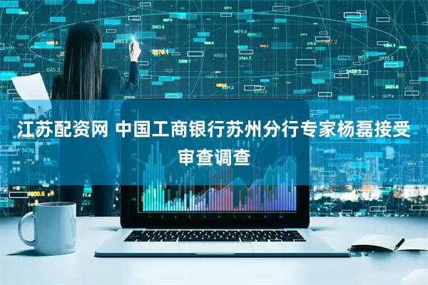 江苏配资网 中国工商银行苏州分行专家杨磊接受审查调查